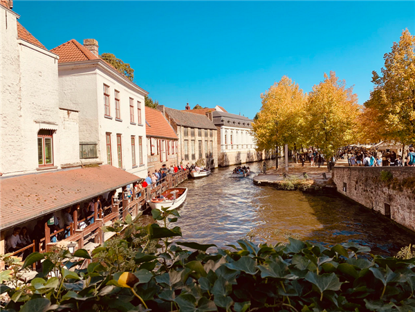 1609922485677615.png 3.png