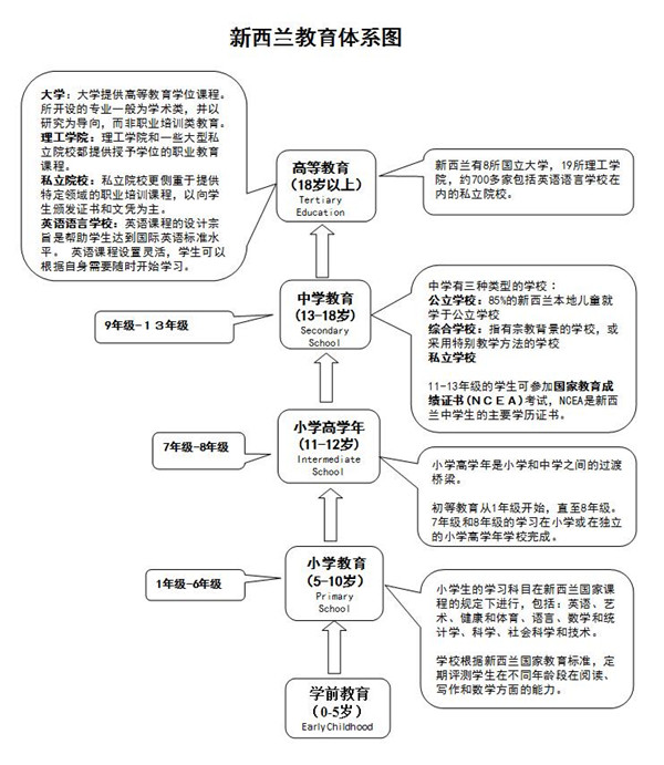 1610434916569267.jpg 2.jpg