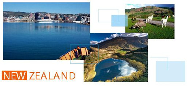 1610434928794816.jpg 3.jpg