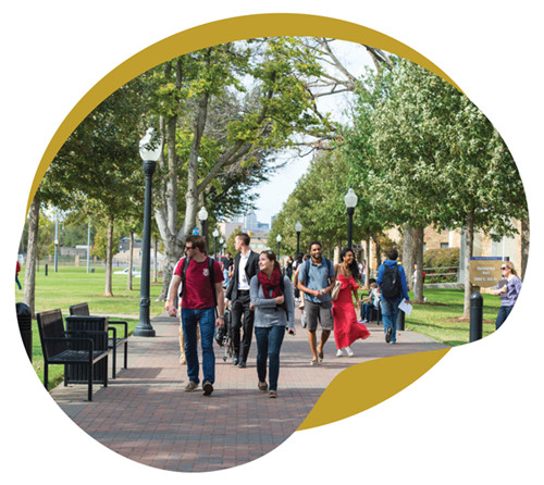 1617340307293931.jpg 3.jpg