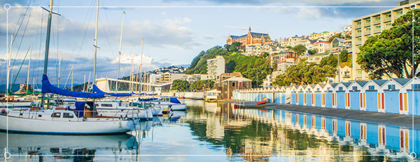 1619672254480137.jpg 4.jpg