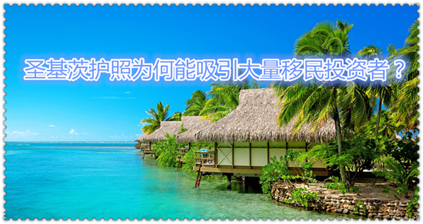 1625016010280036.jpg 1.jpg