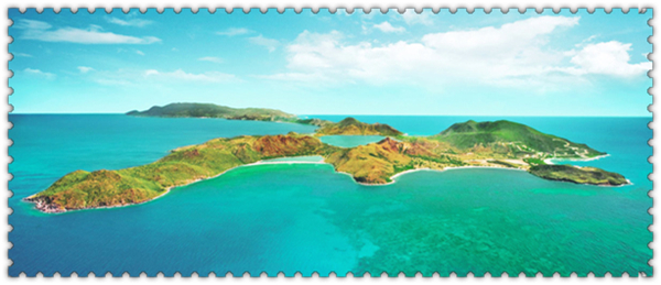 1625016020248054.jpg 2.jpg