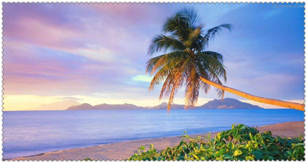 1625016031942583.jpg 3.jpg