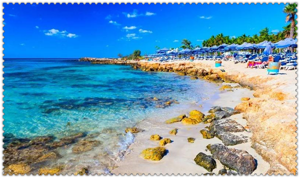 1625101285909309.jpg 1.jpg