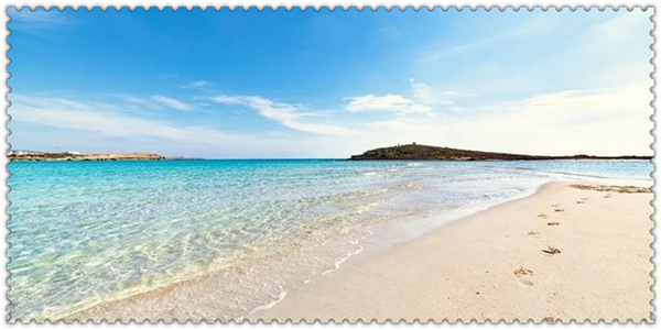 1625101291134041.jpg 2.jpg