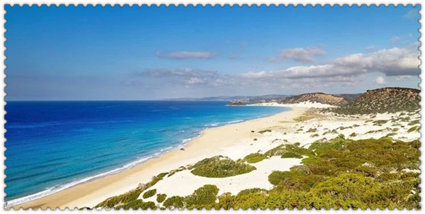 1625101297286877.jpg 3.jpg