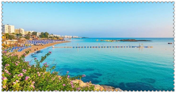 1625101306270277.jpg 5.jpg