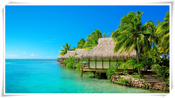 1627267351432673.jpg 2.jpg