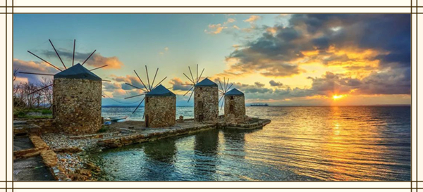 1631068112403944.jpg 2.jpg